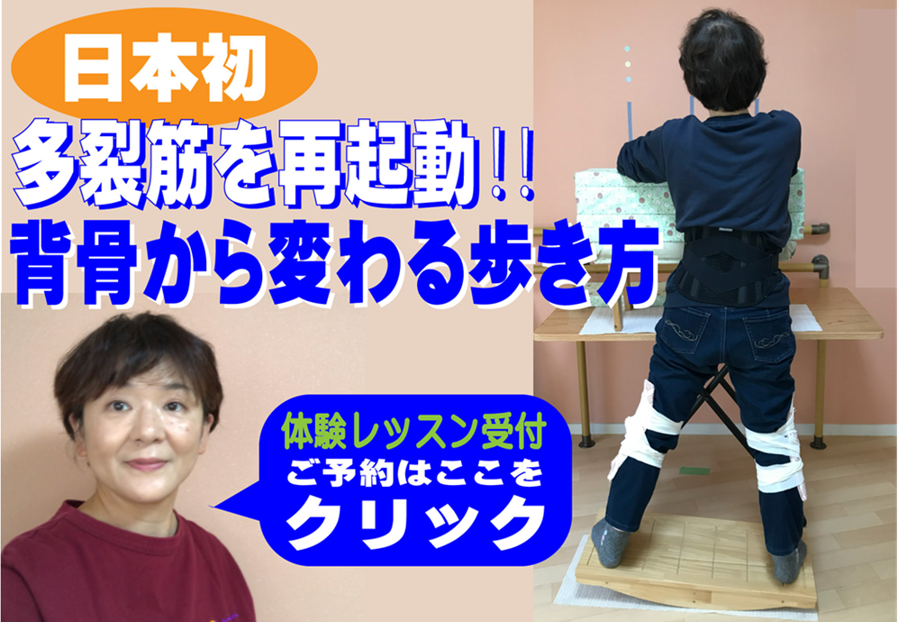 多裂筋を再起動させ狭くなった椎間板スペースを再生し、下半身と上半身の連動で運動機能を取り戻します