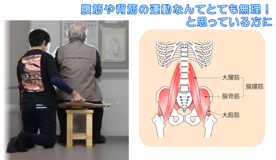 腸腰筋や多裂筋を鍛えて、体を整え姿勢の修正をサポートし骨盤と背骨の関係を正常化